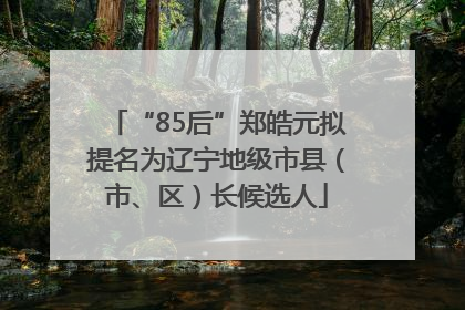 “85后”郑皓元拟提名为辽宁地级市县（市、区）长候选人