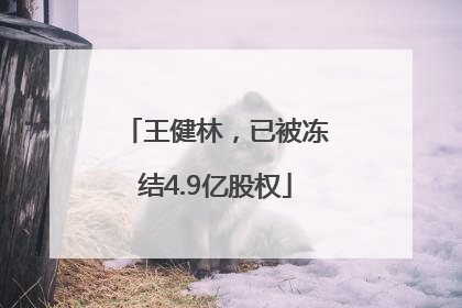 王健林，已被冻结4.9亿股权