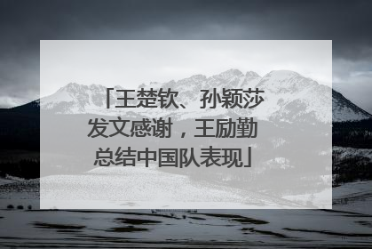 王楚钦、孙颖莎发文感谢，王励勤总结中国队表现