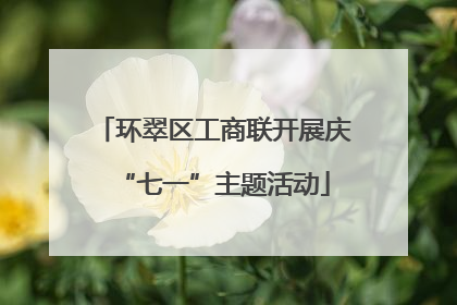 环翠区工商联开展庆“七一”主题活动