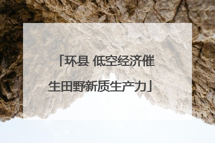 环县 低空经济催生田野新质生产力