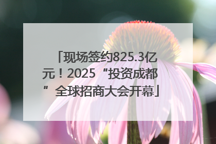 现场签约825.3亿元！2025“投资成都”全球招商大会开幕