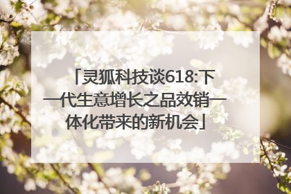 灵狐科技谈618:下一代生意增长之品效销一体化带来的新机会