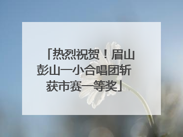 热烈祝贺！眉山彭山一小合唱团斩获市赛一等奖