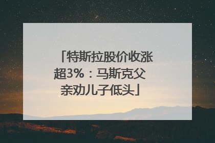 特斯拉股价收涨超3%：马斯克父亲劝儿子低头