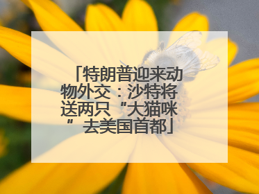 特朗普迎来动物外交：沙特将送两只“大猫咪”去美国首都