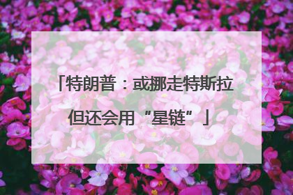 特朗普：或挪走特斯拉 但还会用“星链”