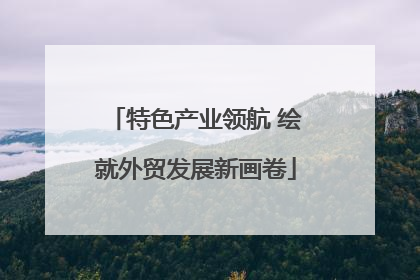 特色产业领航 绘就外贸发展新画卷