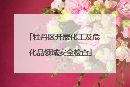 牡丹区开展化工及危化品领域安全检查