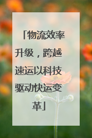 物流效率升级，跨越速运以科技驱动快运变革