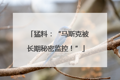猛料：“马斯克被长期秘密监控！”