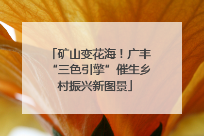 矿山变花海！广丰“三色引擎”催生乡村振兴新图景