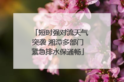 短时强对流天气突袭 湘潭多部门紧急排水保通畅