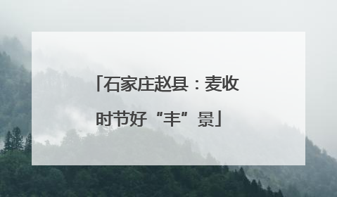 石家庄赵县:麦收时节好“丰”景
