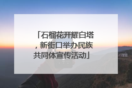 石榴花开耀白塔，新街口举办民族共同体宣传活动