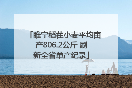 睢宁稻茬小麦平均亩产806.2公斤 刷新全省单产纪录