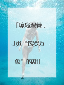琼岛深巷，寻觅“包罗万象”的甜