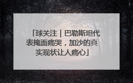球关注｜巴勒斯坦代表掩面痛哭，加沙的真实现状让人痛心