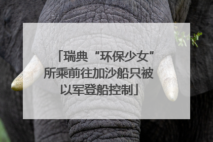 瑞典“环保少女”所乘前往加沙船只被以军登船控制