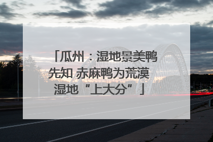 瓜州：湿地景美鸭先知 赤麻鸭为荒漠湿地“上大分”