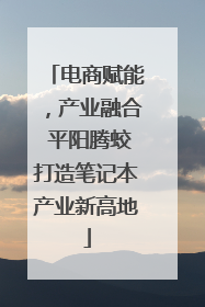 电商赋能，产业融合 平阳腾蛟打造笔记本产业新高地