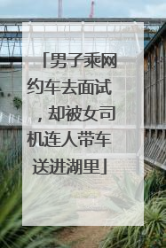 男子乘网约车去面试，却被女司机连人带车送进湖里