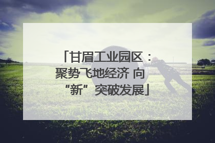 甘眉工业园区：聚势飞地经济 向“新”突破发展