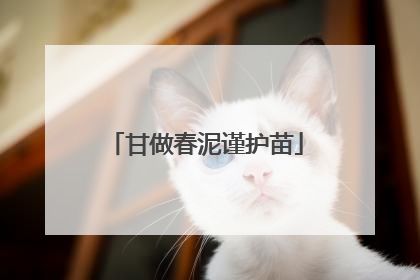 甘做春泥谨护苗
