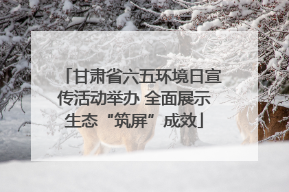 甘肃省六五环境日宣传活动举办 全面展示生态“筑屏”成效