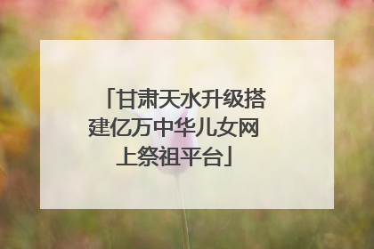 甘肃天水升级搭建亿万中华儿女网上祭祖平台