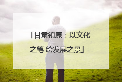 甘肃镇原：以文化之笔 绘发展之景