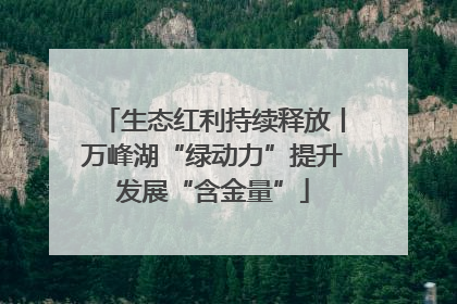 生态红利持续释放丨万峰湖“绿动力”提升发展“含金量”