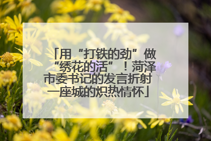 用“打铁的劲”做“绣花的活”！菏泽市委书记的发言折射一座城的炽热情怀