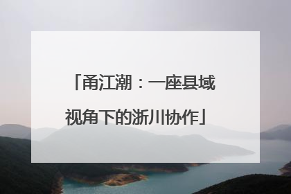 甬江潮：一座县域视角下的浙川协作