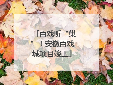 百戏听“巢”！安徽百戏城项目竣工