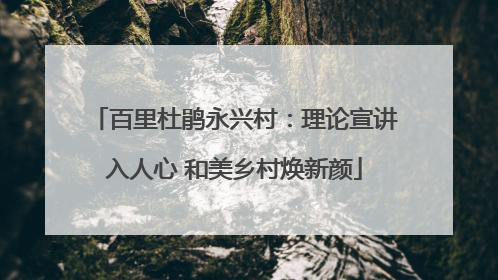 百里杜鹃永兴村：理论宣讲入人心 和美乡村焕新颜