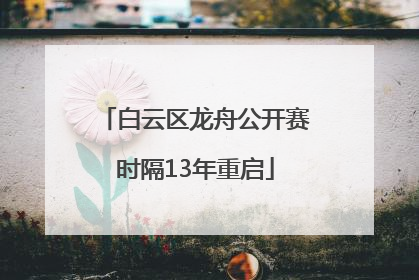 白云区龙舟公开赛时隔13年重启