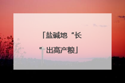 盐碱地“长”出高产粮