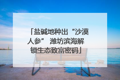盐碱地种出“沙漠人参” 潍坊滨海解锁生态致富密码