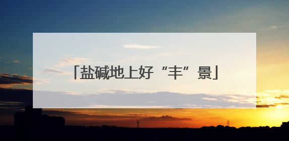 盐碱地上好“丰”景
