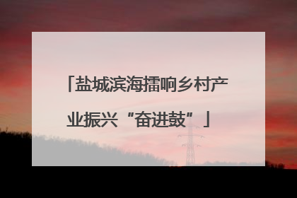 盐城滨海擂响乡村产业振兴“奋进鼓”