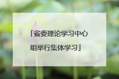 省委理论学习中心组举行集体学习