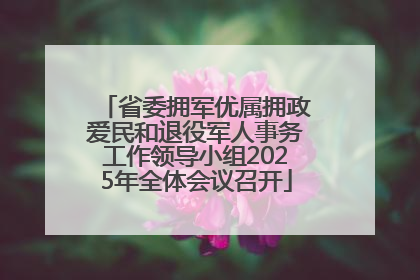 省委拥军优属拥政爱民和退役军人事务工作领导小组2025年全体会议召开