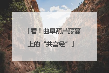 看！曲阜葫芦藤蔓上的“共富经”