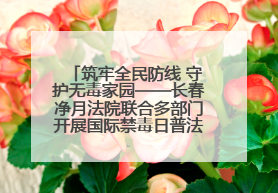 筑牢全民防线 守护无毒家园——长春净月法院联合多部门开展国际禁毒日普法宣传活动
