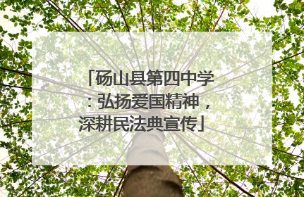 砀山县第四中学：弘扬爱国精神，深耕民法典宣传