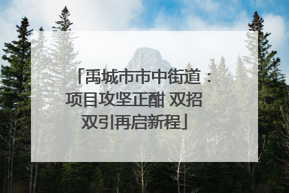 禹城市市中街道：项目攻坚正酣 双招双引再启新程