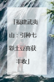 福建武夷山：引种七彩土豆喜获丰收