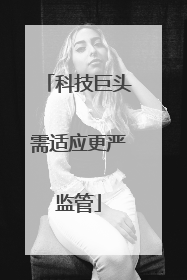 科技巨头需适应更严监管