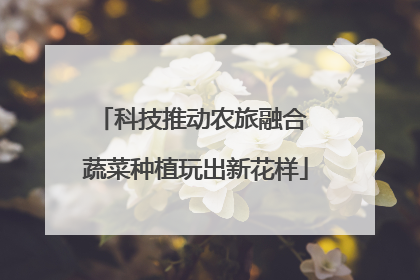 科技推动农旅融合 蔬菜种植玩出新花样